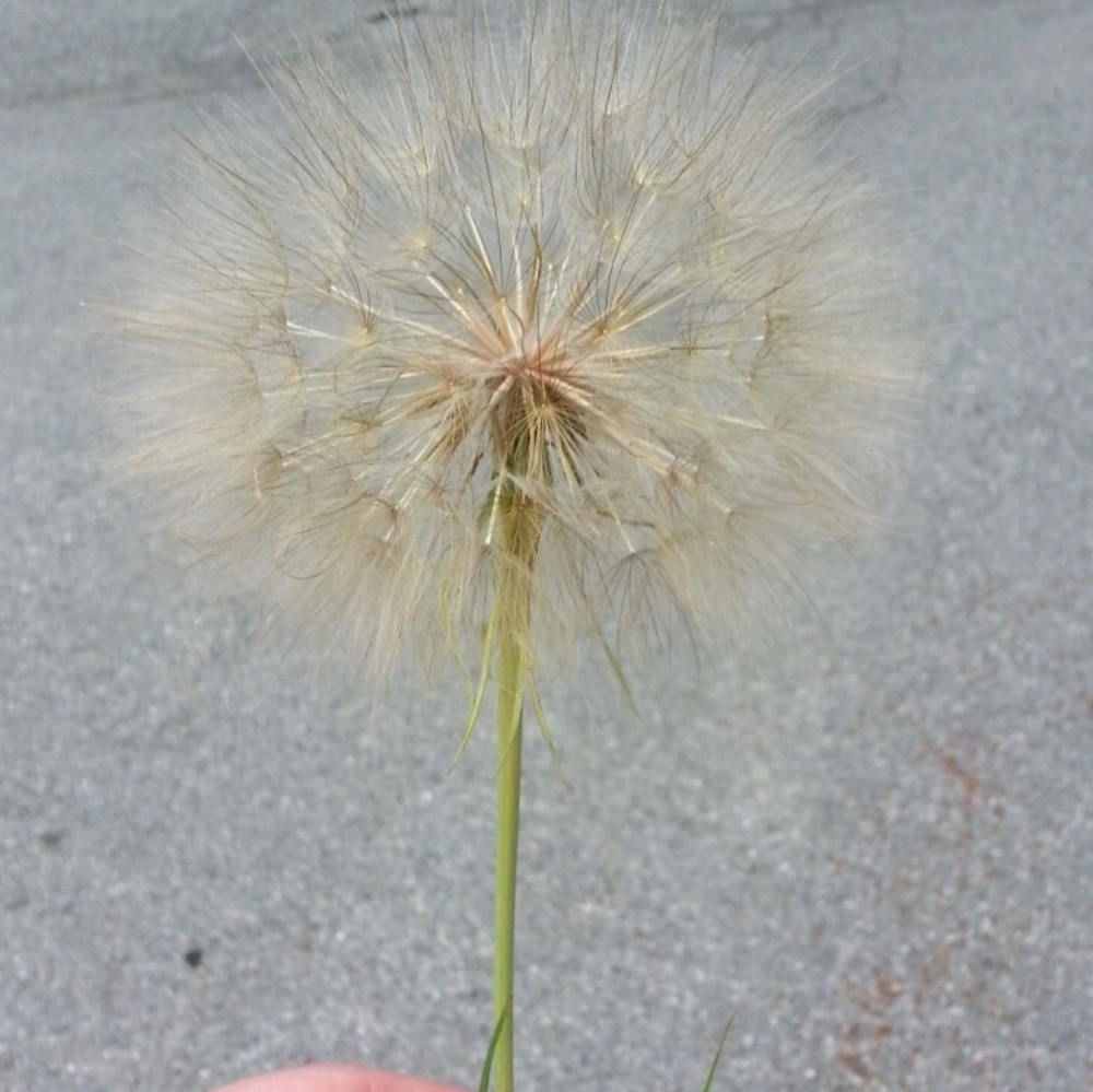 Meet your Posher, Whitney